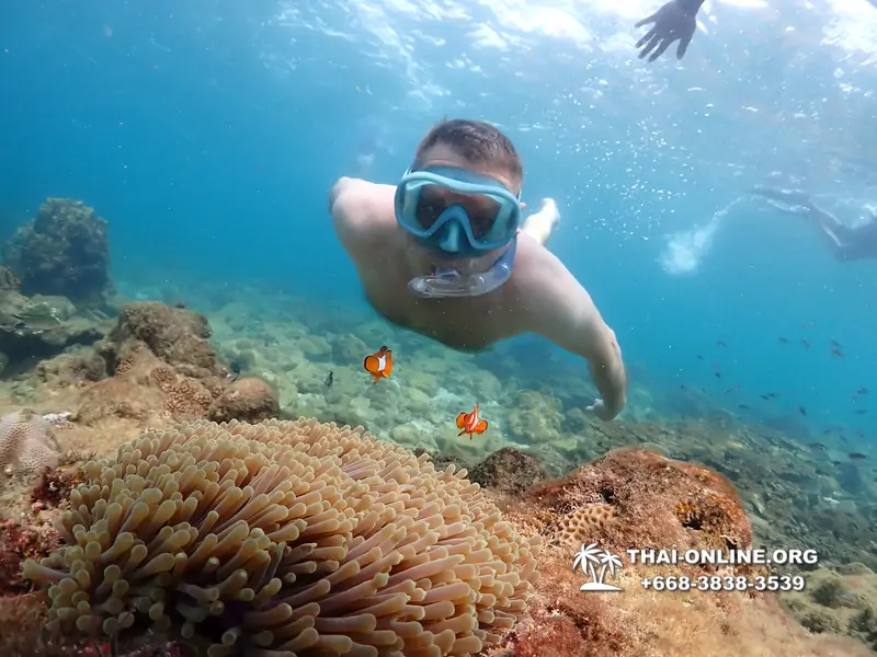 Underwater Odyssey snorkeling excursion Pattaya Thailand photo 11447