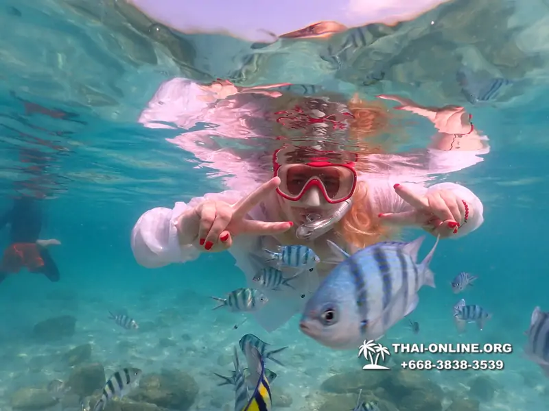 Underwater Odyssey snorkeling tour from Pattaya Thailand photo 14503