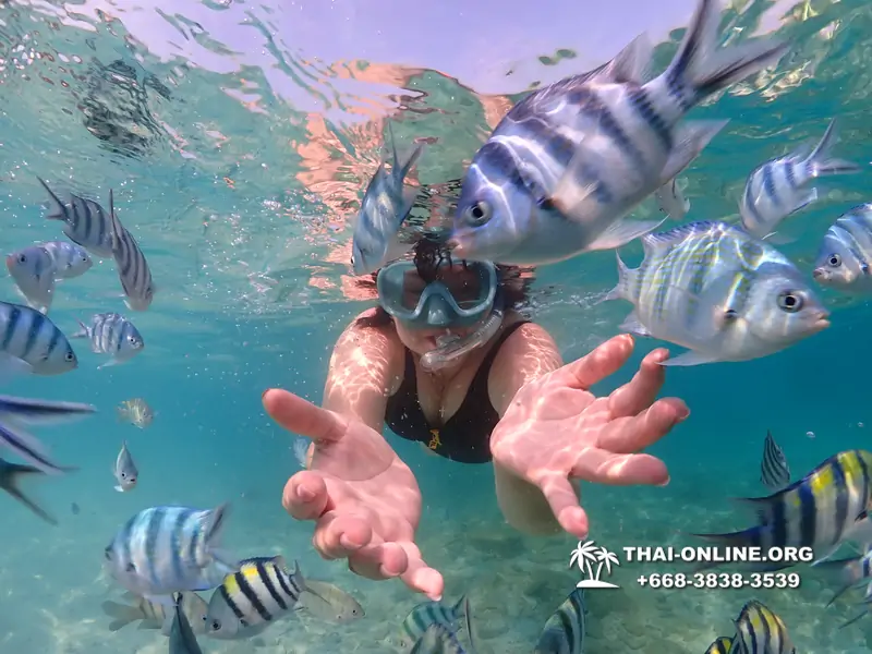 Underwater Odyssey snorkeling excursion Pattaya Thailand photo 11181