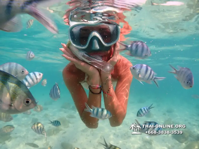 Underwater Odyssey snorkeling tour from Pattaya Thailand photo 14520