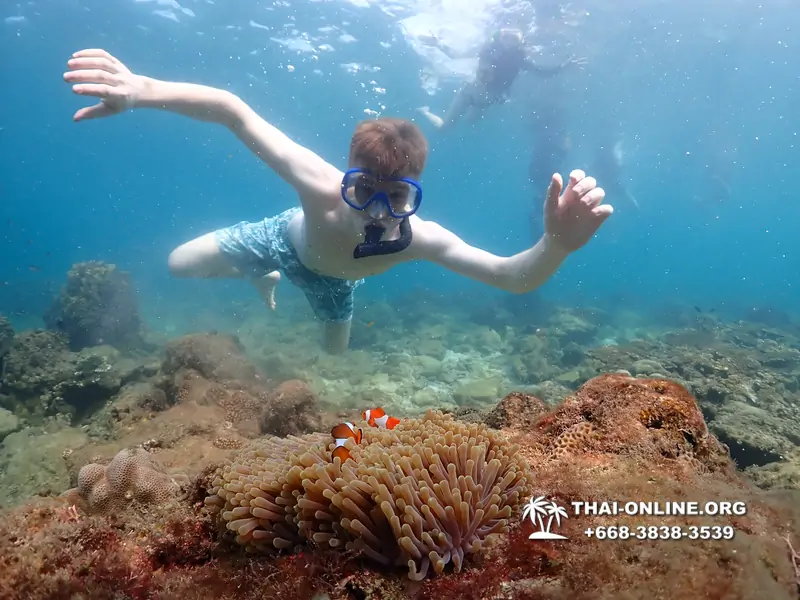 Underwater Odyssey snorkeling excursion Pattaya Thailand photo 11333