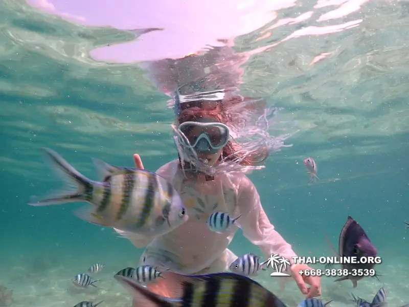 Underwater Odyssey snorkeling tour from Pattaya Thailand photo 18584