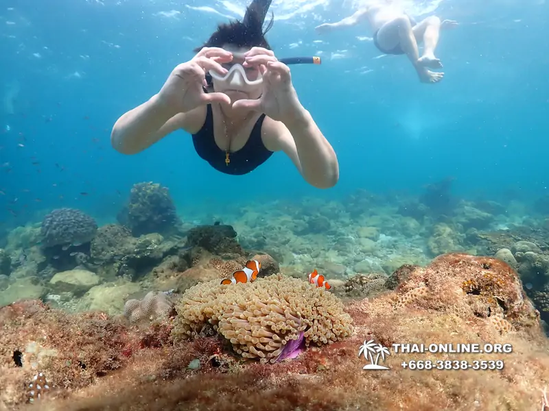 Underwater Odyssey snorkeling excursion Pattaya Thailand photo 11450