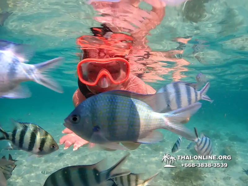 Underwater Odyssey snorkeling tour from Pattaya Thailand photo 14153