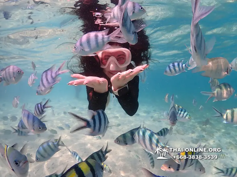 Underwater Odyssey snorkeling excursion Pattaya Thailand photo 11213