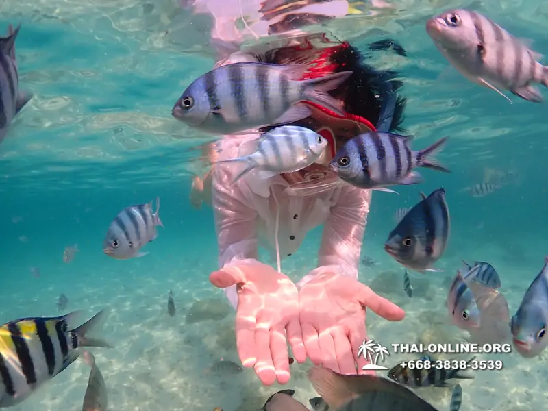 Underwater Odyssey snorkeling tour from Pattaya Thailand photo 14372