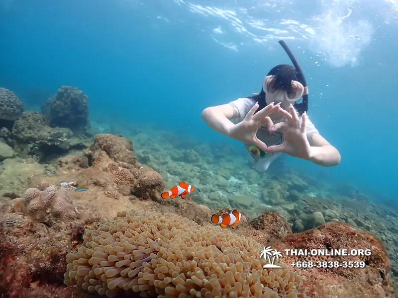 Underwater Odyssey snorkeling excursion Pattaya Thailand photo 11403