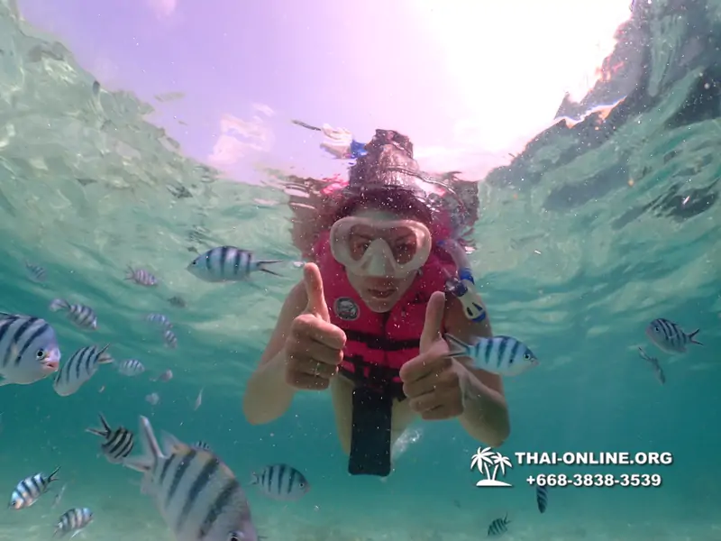 Underwater Odyssey snorkeling tour from Pattaya Thailand photo 18733
