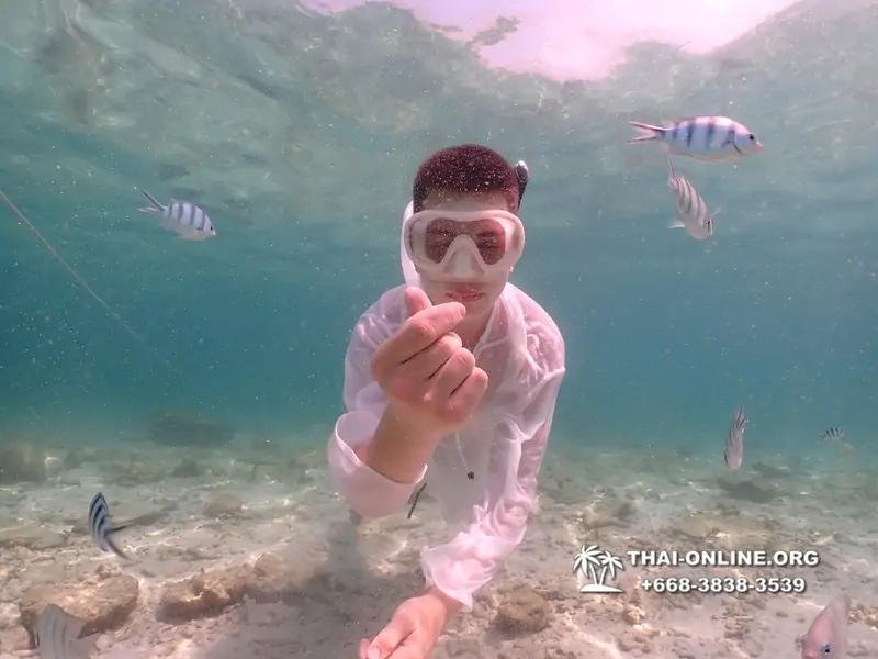 Underwater Odyssey snorkeling tour from Pattaya Thailand photo 18696