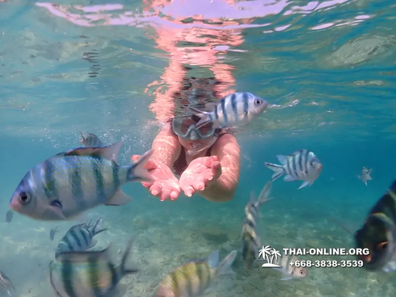 Underwater Odyssey snorkeling excursion Pattaya Thailand photo 11185