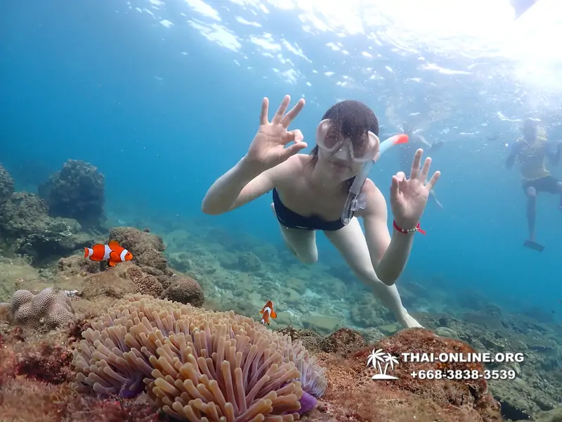 Underwater Odyssey snorkeling excursion Pattaya Thailand photo 11432