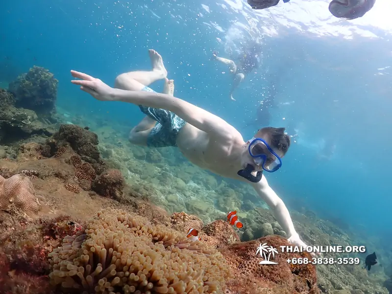 Underwater Odyssey snorkeling excursion Pattaya Thailand photo 11326