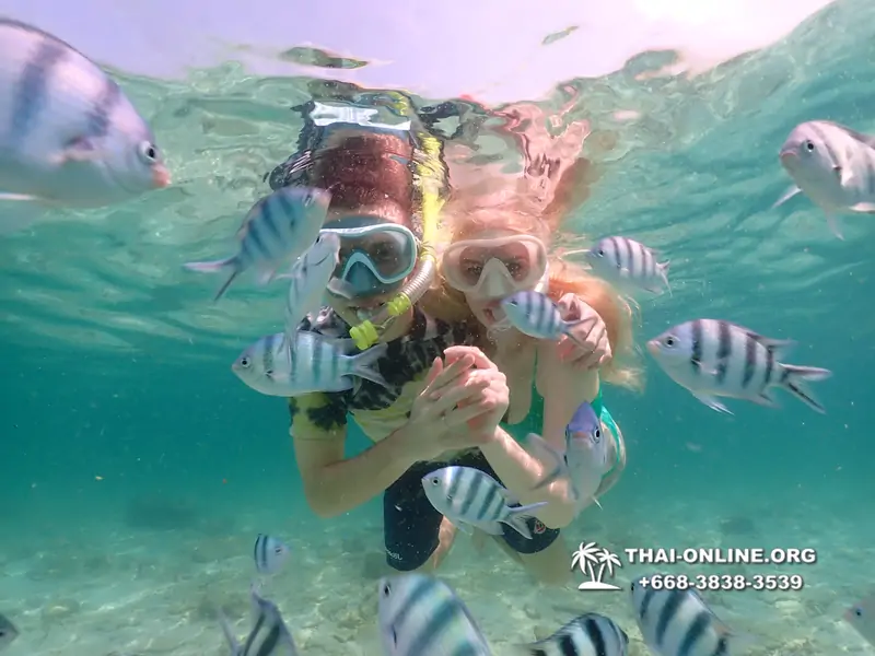 Underwater Odyssey snorkeling tour from Pattaya Thailand photo 18420