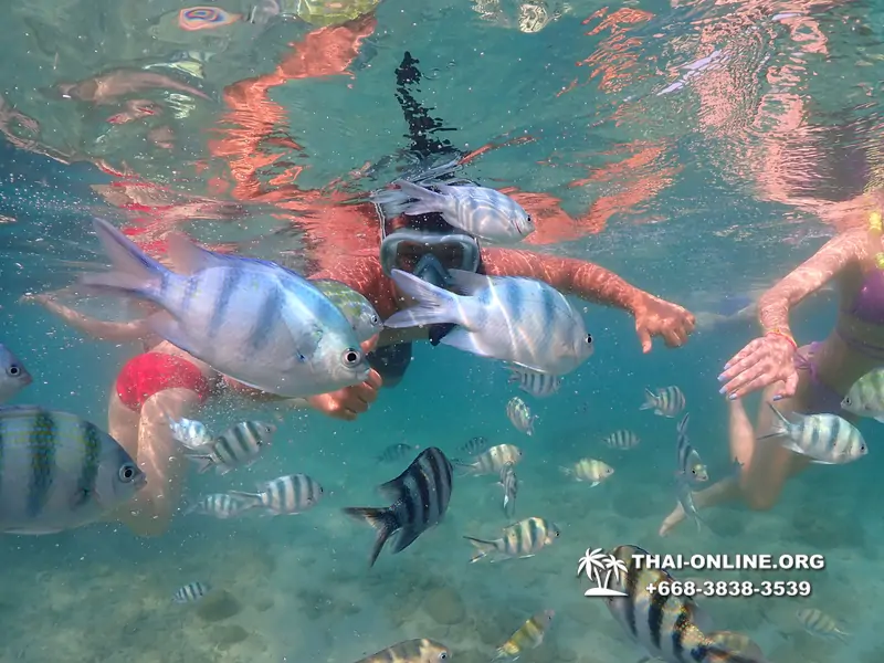 Underwater Odyssey snorkeling excursion Pattaya Thailand photo 11520