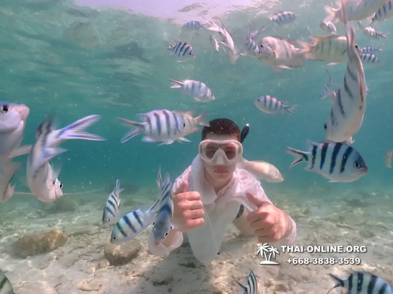 Underwater Odyssey snorkeling tour from Pattaya Thailand photo 18545