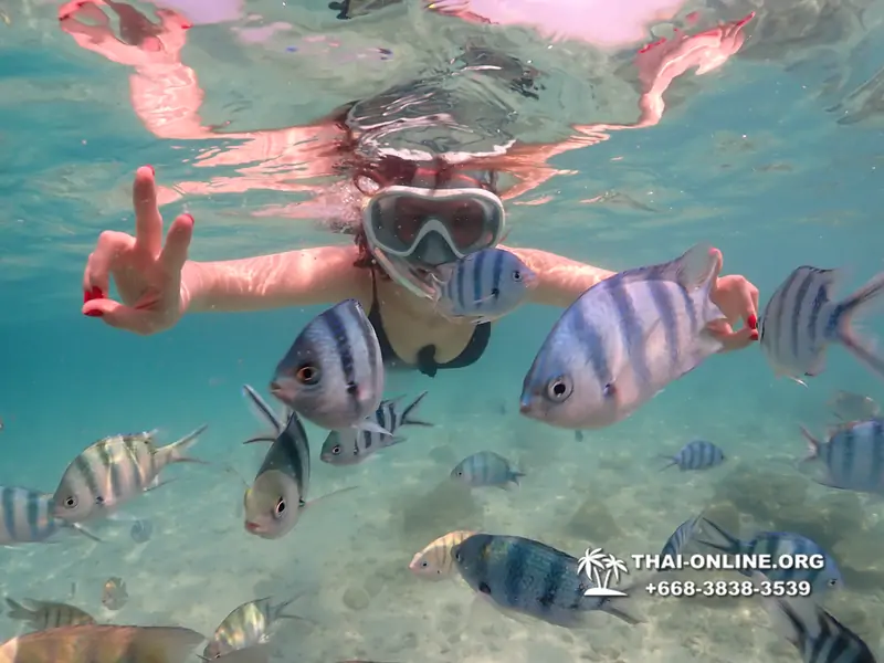 Underwater Odyssey snorkeling tour from Pattaya Thailand photo 14497