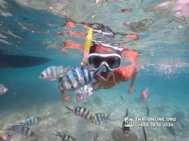 Underwater Odyssey snorkeling tour from Pattaya Thailand photo 14313