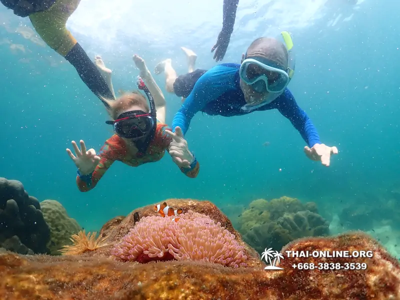 Underwater Odyssey snorkeling excursion Pattaya Thailand photo 14801