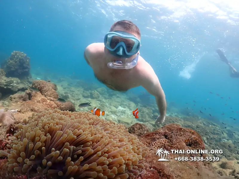 Underwater Odyssey snorkeling excursion Pattaya Thailand photo 11448