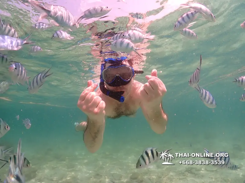 Underwater Odyssey snorkeling tour from Pattaya Thailand photo 18284