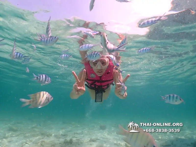 Underwater Odyssey snorkeling tour from Pattaya Thailand photo 18483