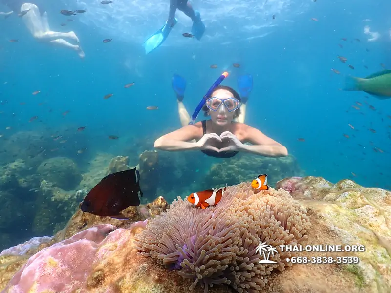 Underwater Odyssey snorkeling excursion Pattaya Thailand photo 11575