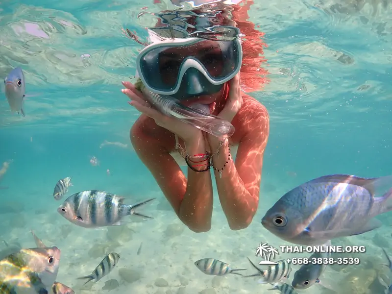 Underwater Odyssey snorkeling tour from Pattaya Thailand photo 14182