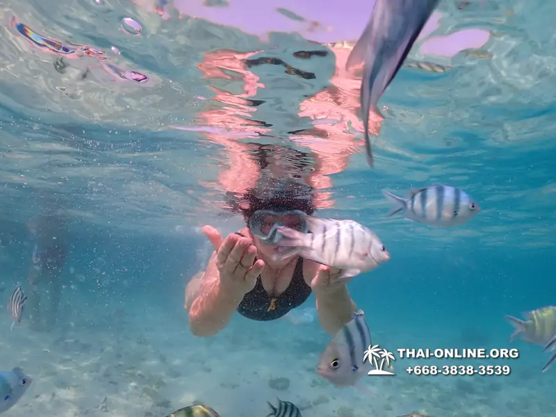 Underwater Odyssey snorkeling excursion Pattaya Thailand photo 11032