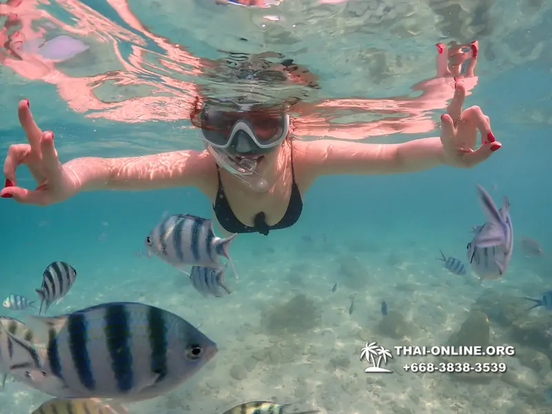 Underwater Odyssey snorkeling tour from Pattaya Thailand photo 14482