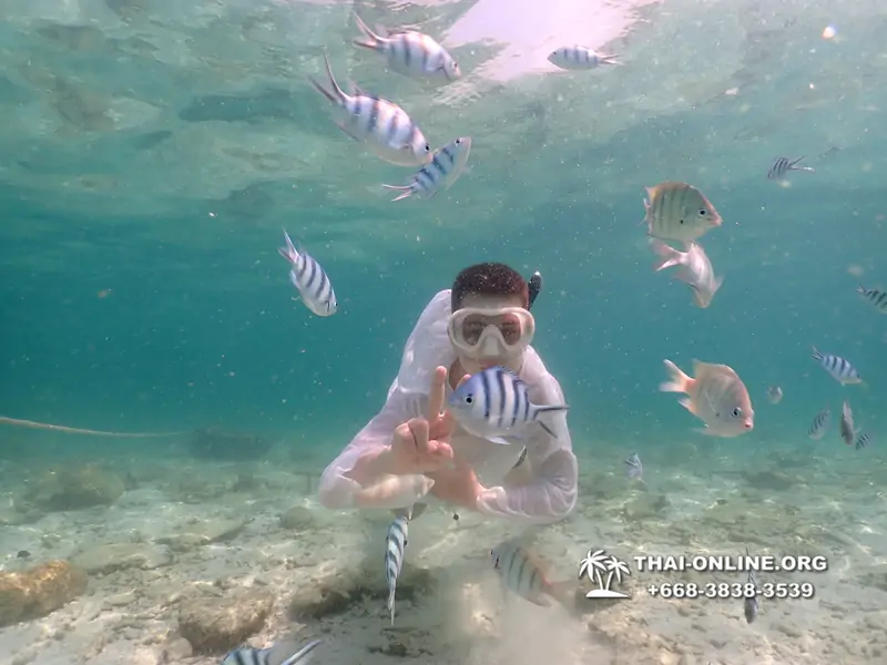 Underwater Odyssey snorkeling tour from Pattaya Thailand photo 18633