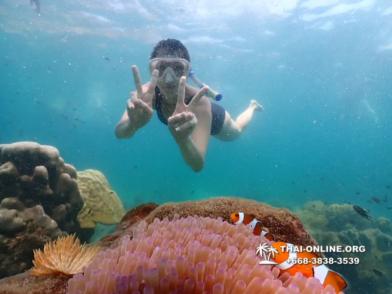 Underwater Odyssey snorkeling tour from Pattaya Thailand photo 18299