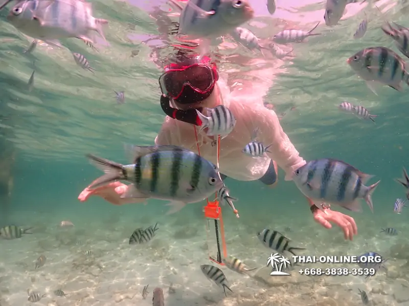 Underwater Odyssey snorkeling tour from Pattaya Thailand photo 18340