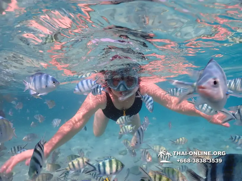 Underwater Odyssey snorkeling excursion Pattaya Thailand photo 11026