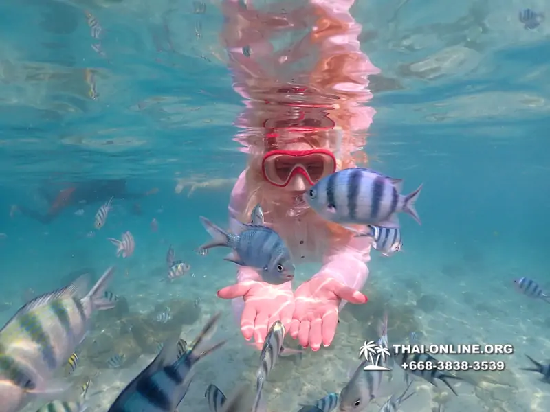 Underwater Odyssey snorkeling tour from Pattaya Thailand photo 14582