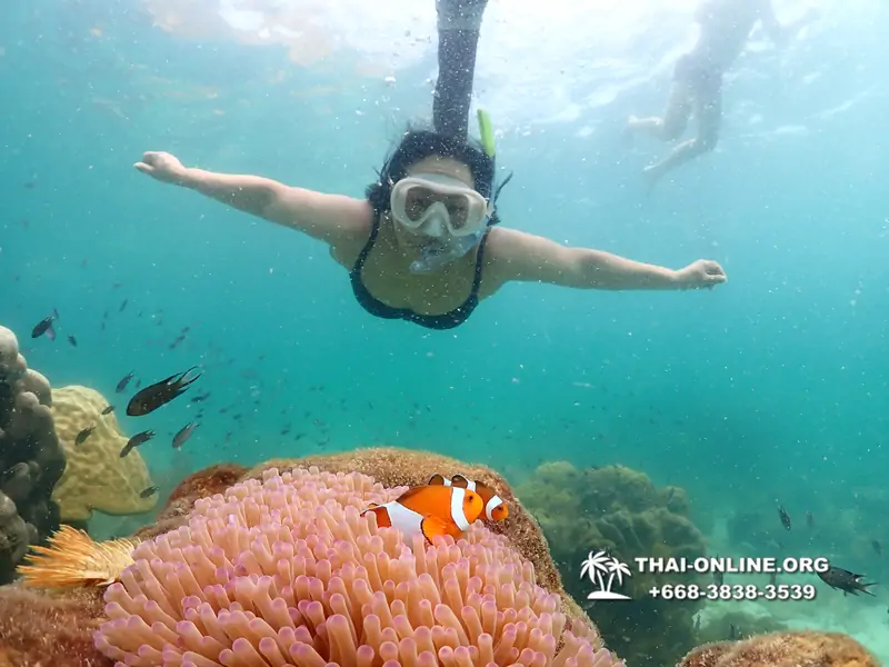 Underwater Odyssey snorkeling tour from Pattaya Thailand photo 18353