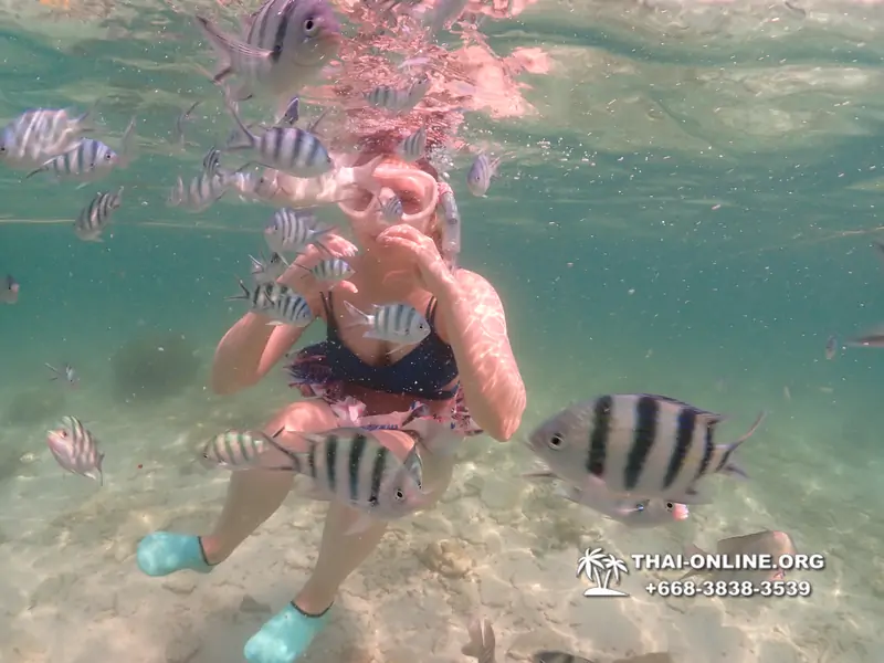 Underwater Odyssey snorkeling tour from Pattaya Thailand photo 18418