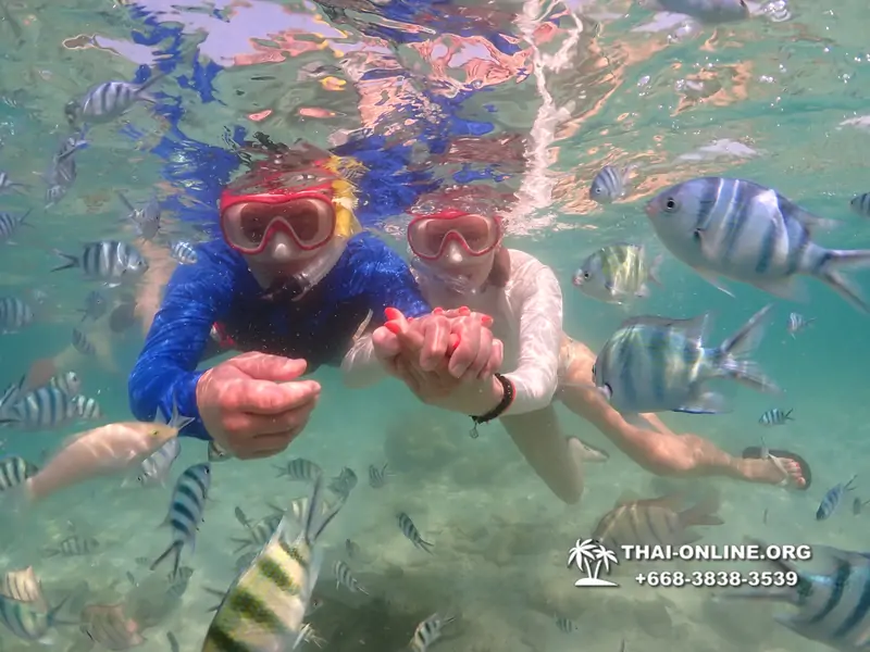 Underwater Odyssey snorkeling excursion Pattaya Thailand photo 14838