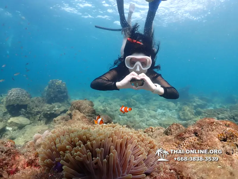 Underwater Odyssey snorkeling excursion Pattaya Thailand photo 11460
