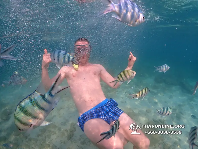 Underwater Odyssey snorkeling excursion Pattaya Thailand photo 11533