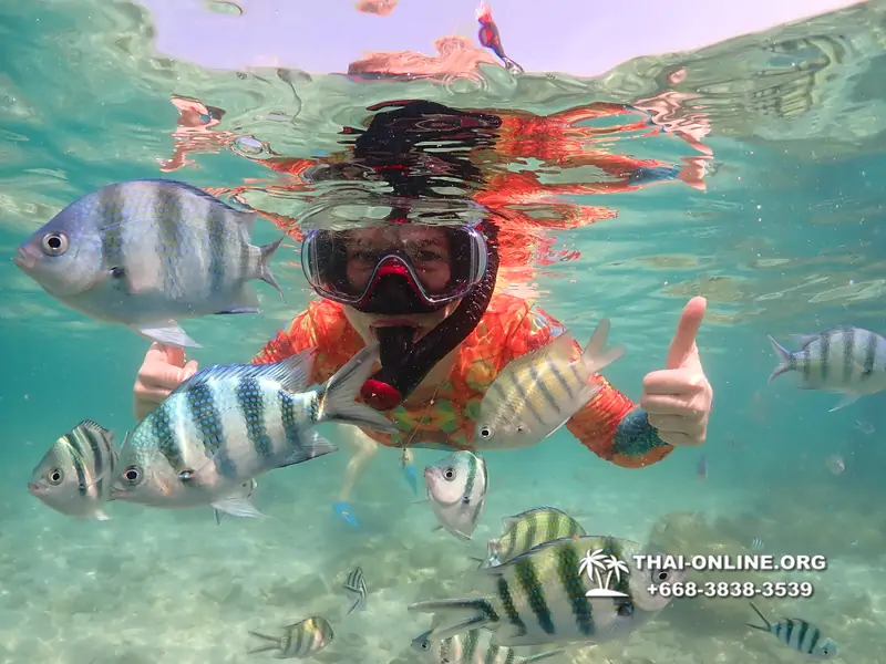 Underwater Odyssey snorkeling excursion Pattaya Thailand photo 14760