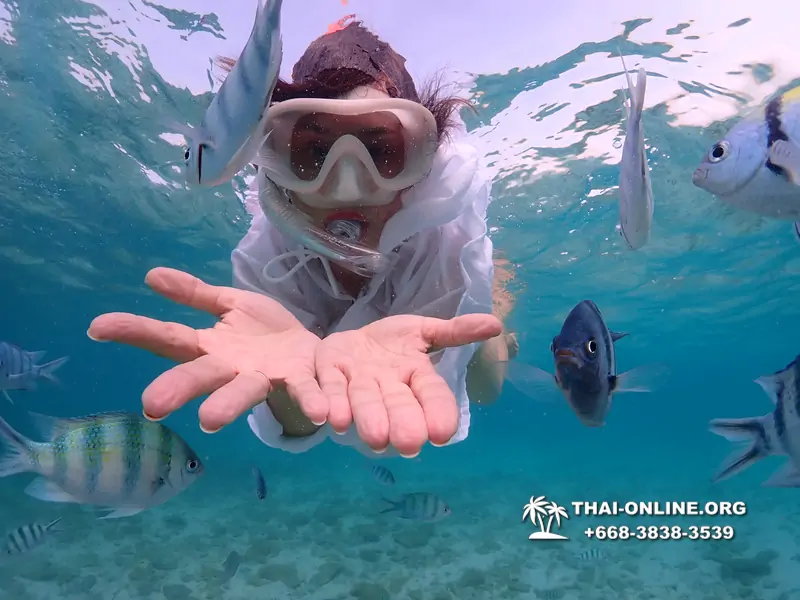 Underwater Odyssey snorkeling excursion Pattaya Thailand photo 11163
