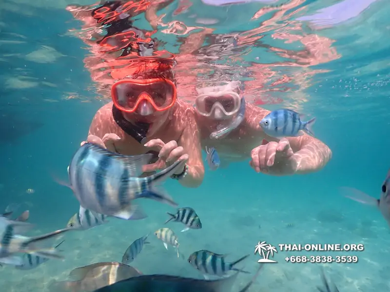 Underwater Odyssey snorkeling tour from Pattaya Thailand photo 14331