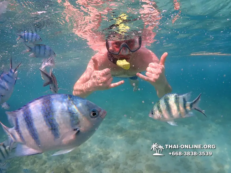 Underwater Odyssey snorkeling excursion Pattaya Thailand photo 11535