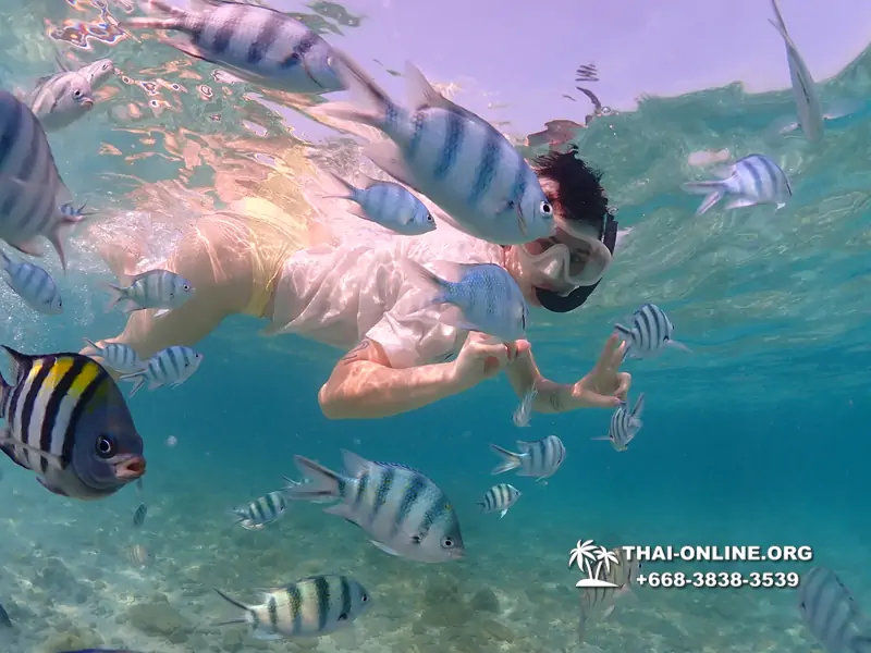 Underwater Odyssey snorkeling excursion Pattaya Thailand photo 11255
