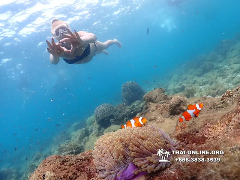 Underwater Odyssey snorkeling excursion Pattaya Thailand photo 11436