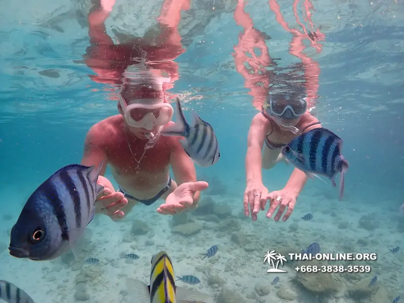 Underwater Odyssey snorkeling excursion Pattaya Thailand photo 14230