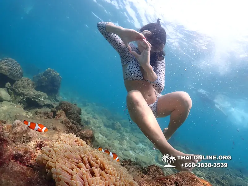 Underwater Odyssey snorkeling excursion Pattaya Thailand photo 11357