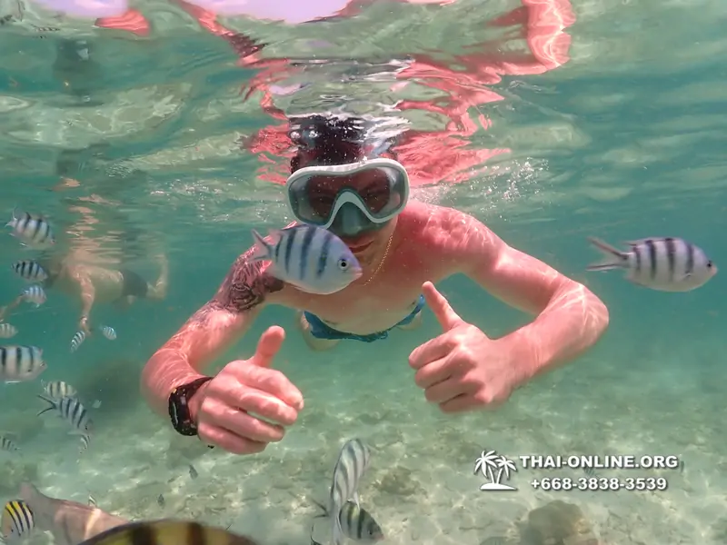 Underwater Odyssey snorkeling tour from Pattaya Thailand photo 18266