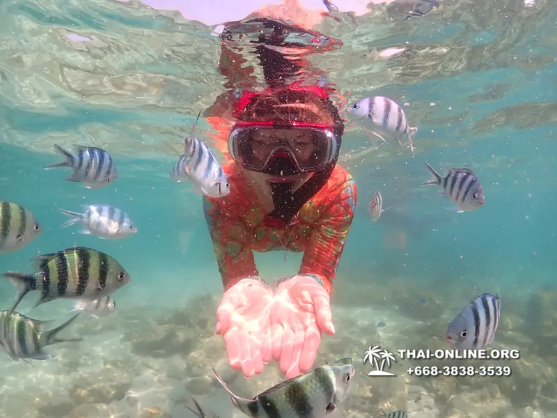 Underwater Odyssey snorkeling excursion Pattaya Thailand photo 14830