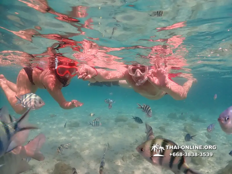 Underwater Odyssey snorkeling tour from Pattaya Thailand photo 14141